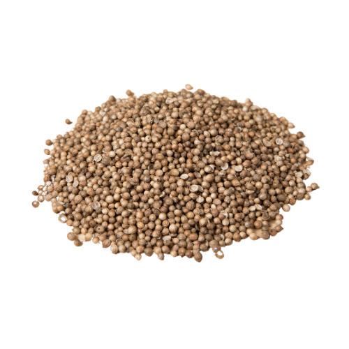 Coriander Seeds Whole